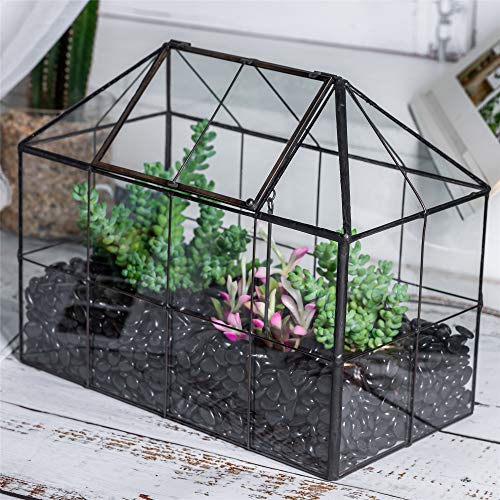 NCYP Geometric Glass Terrarium - 25x13.5x20 cm House Shape Terrarium Planter for Succulents, Cacti - Modern Home Indoor Tabletop Decor, Centerpiece,