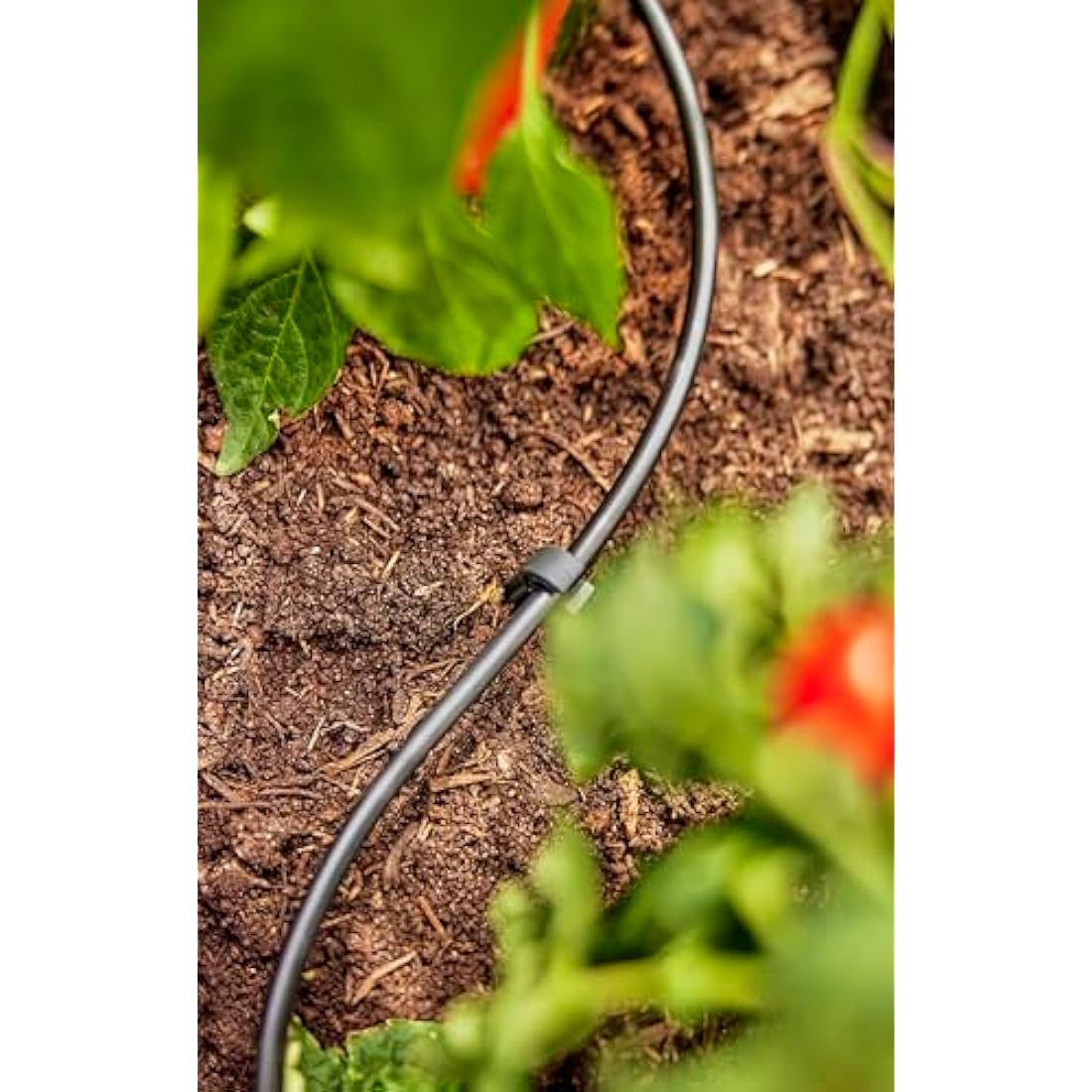 Gardena Micro-Drip System Supply Pipe: Flexible supply pipe, 4.6 mm (3/16"), can be laid above or below ground, UV-stabilised, 50 m (1348-20) Estándar 1348-20