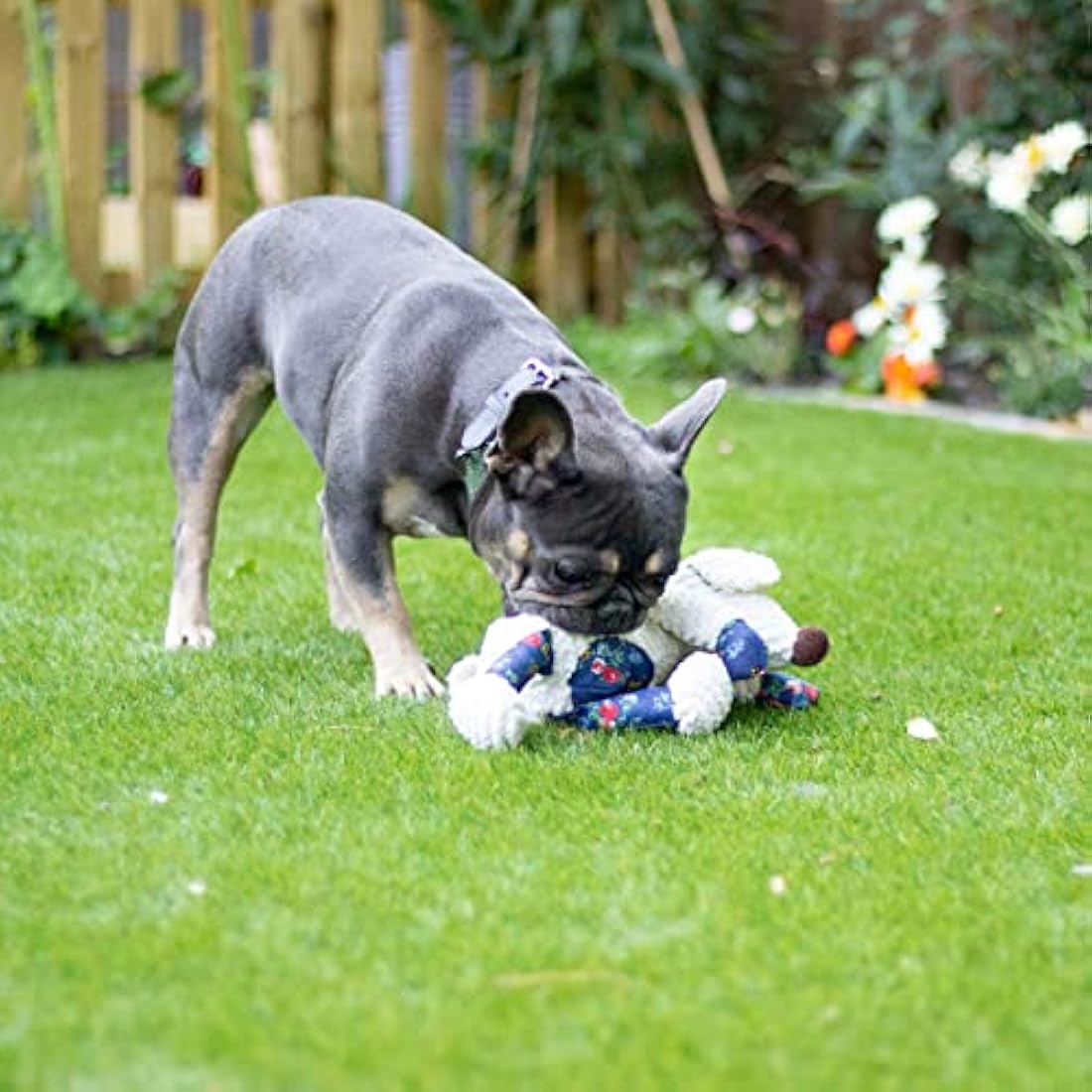 Rosewood MAISIE MOUSE