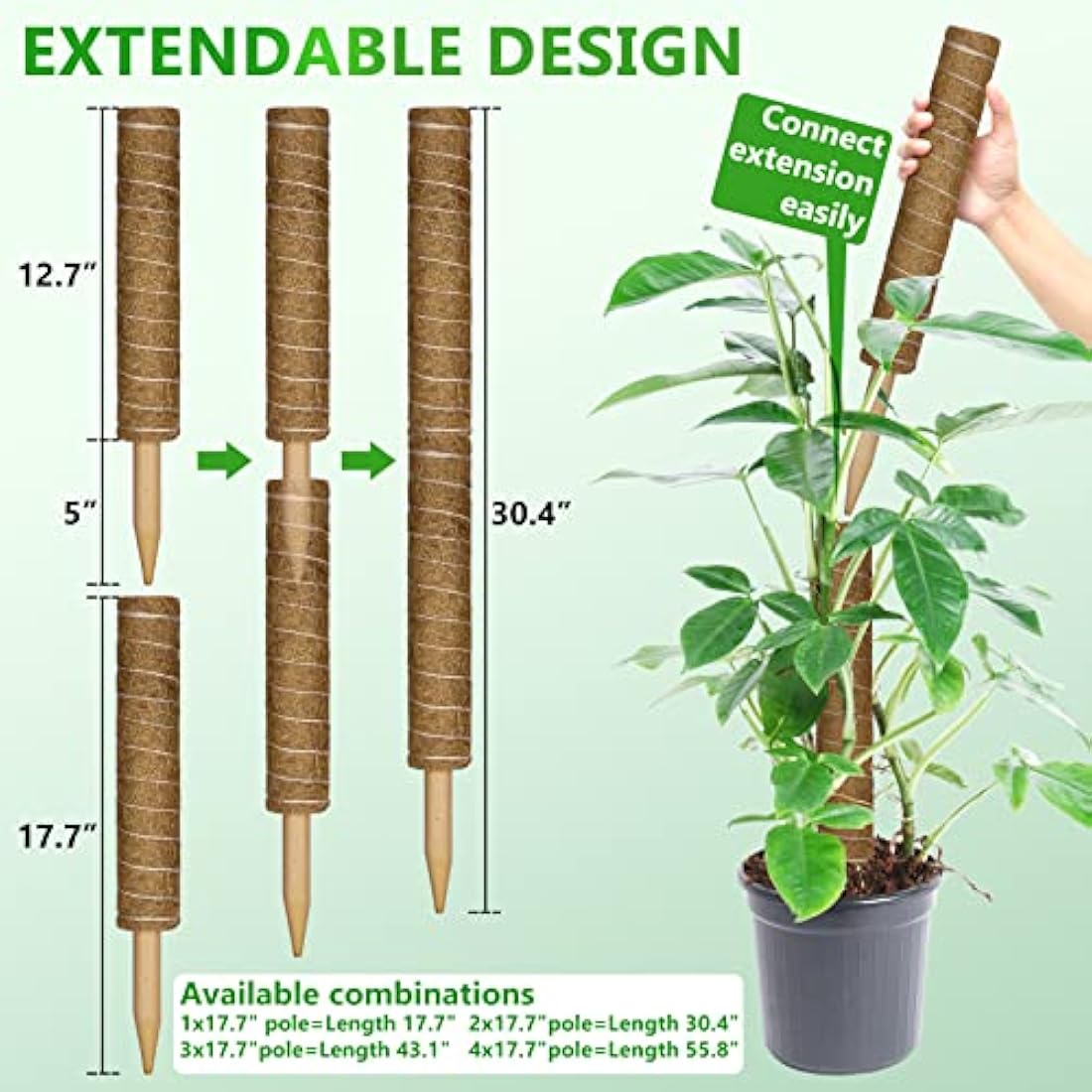Moss Pole 56 Inch 142cm, 4 Pcs Moss Pole for Monstera, 45cm Coir Totem Pole Moss Stick for Climbing Plants Indoor Monstera Support Extension, Train Potted Creepers to Grow Upwards, 65 Feet Twist Tie