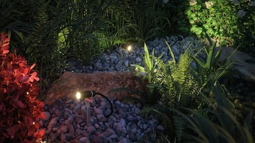 Paulmann 94156 Outdoor Plug & Shine Spotlight Plantini ext. Set 3000K 3x2.5W 24V 40° Anthracite alu, Aluminium, Integriert, 7.5 W, 2.1 x 7.7 x 22.3 cm