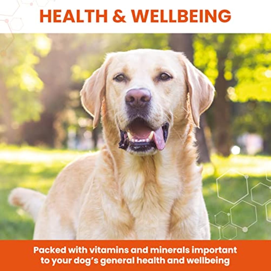 Vetzyme Once A Day Conditioning Tablets for Dogs (240 Tablets) - With B Complex Vitamins to Promote Fitness and Support a Healthy Immune System