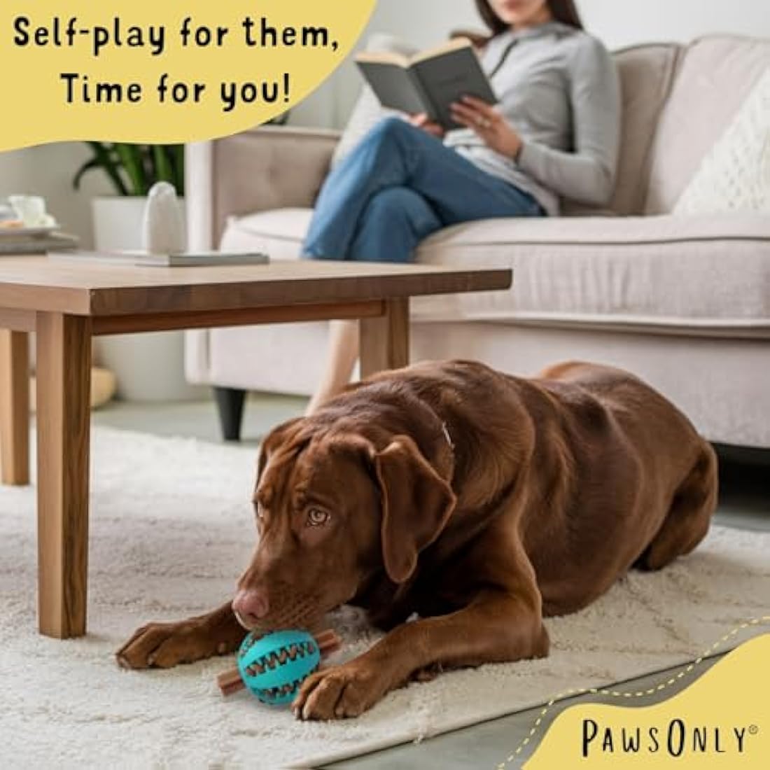 PawsOnly | Dog Treat Ball Dispenser | Interactive Toy for Boredom | Enrichment & Mental Stimulation | Safe Rubber Feeder | Puppy Challenging Activity (Small 6cm/2.35in, GREEN, 1 Pack)