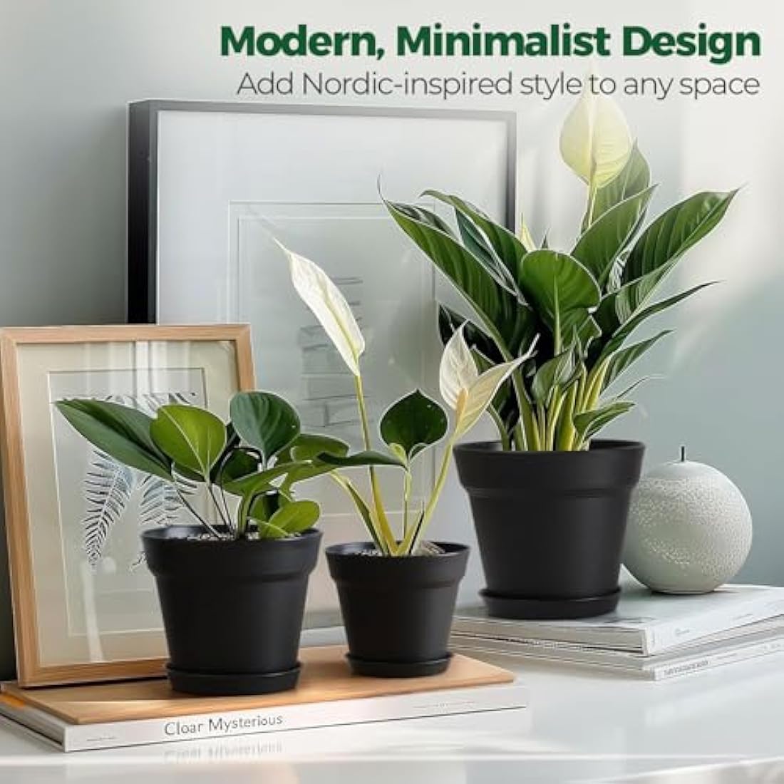 T4U Plastic Plant Pots 6-Pack, Flower Pot with Drainage Hole and Saucer, Classic Indoor Outdoor Plant Pots for Succulent, Snake Plant, Aloe Vera and All House Plants (16CM Opening Diameter, Black)