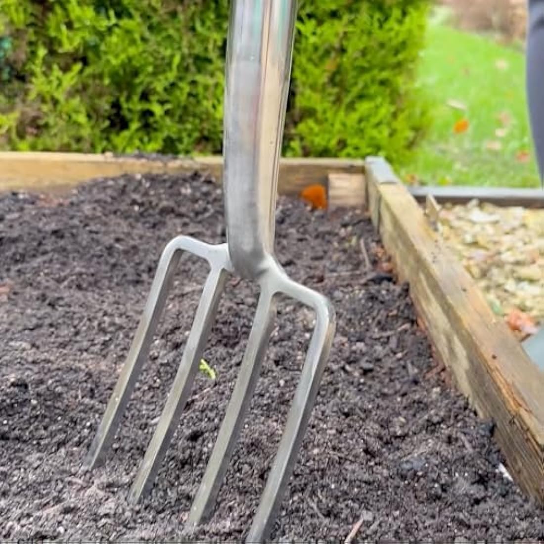 Spear & Jackson 4552BF Traditional Stainless Steel Border Fork