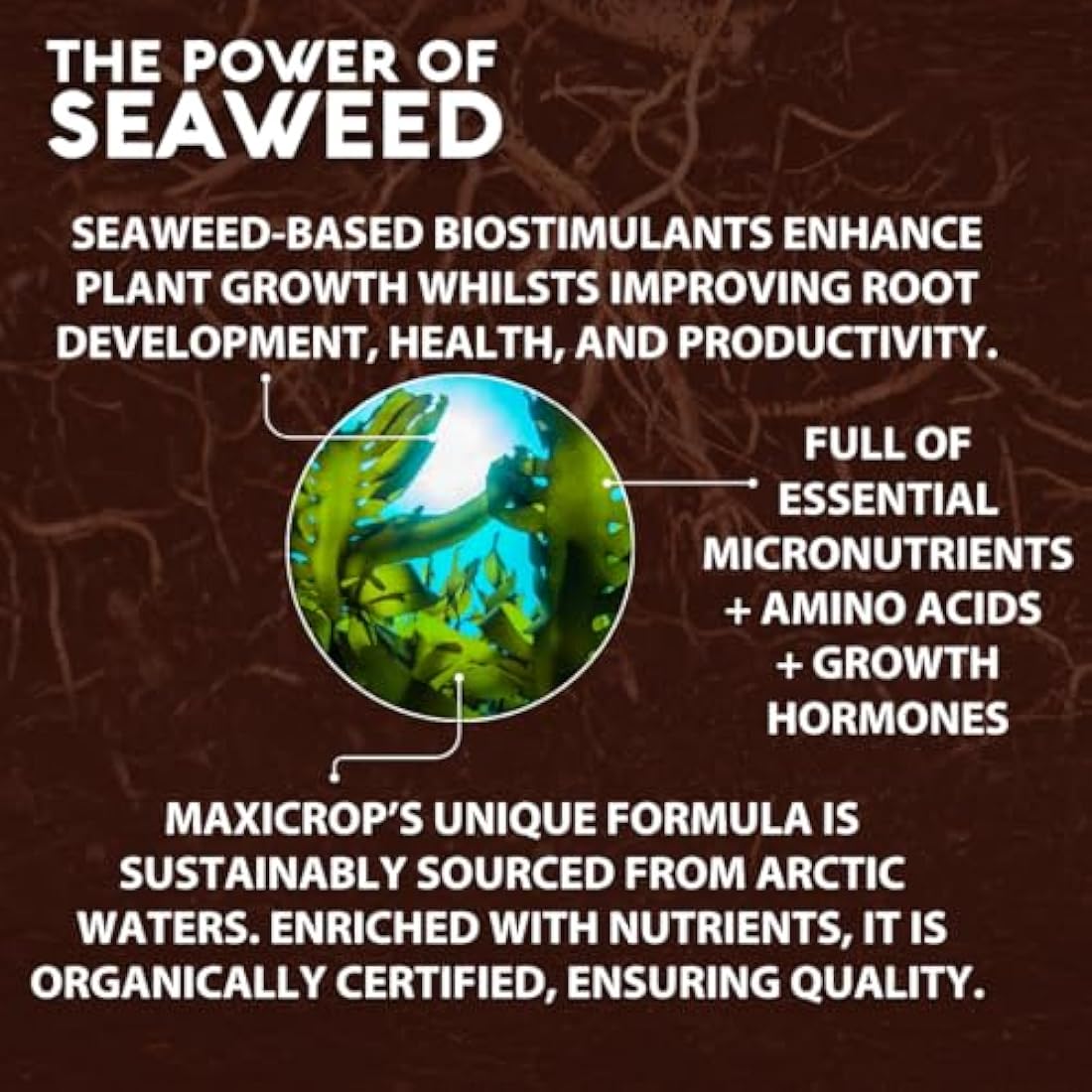 Maxicrop All Purpose Plant Growth Stimulant, 2.5L - Natural Seaweed Based Liquid Biostimulant - Multivitamin Boost for All Garden Plants - Strong Roots - Healthy Growth - Builds Resilient Crops