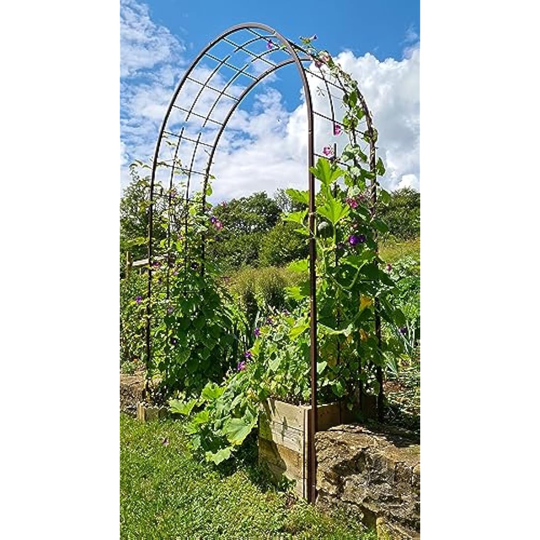 Louis Mill 3006Arch For Climbing Plants Metal Antique Iron 180x 50x 250cm
