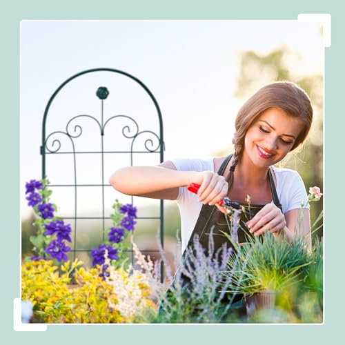 Relaxdays Trellis Set of 2, Metal, 180 x 50 cm, Garden Climbing Aid, Vintage, Arch + Flowers, Freestanding, Dark Green