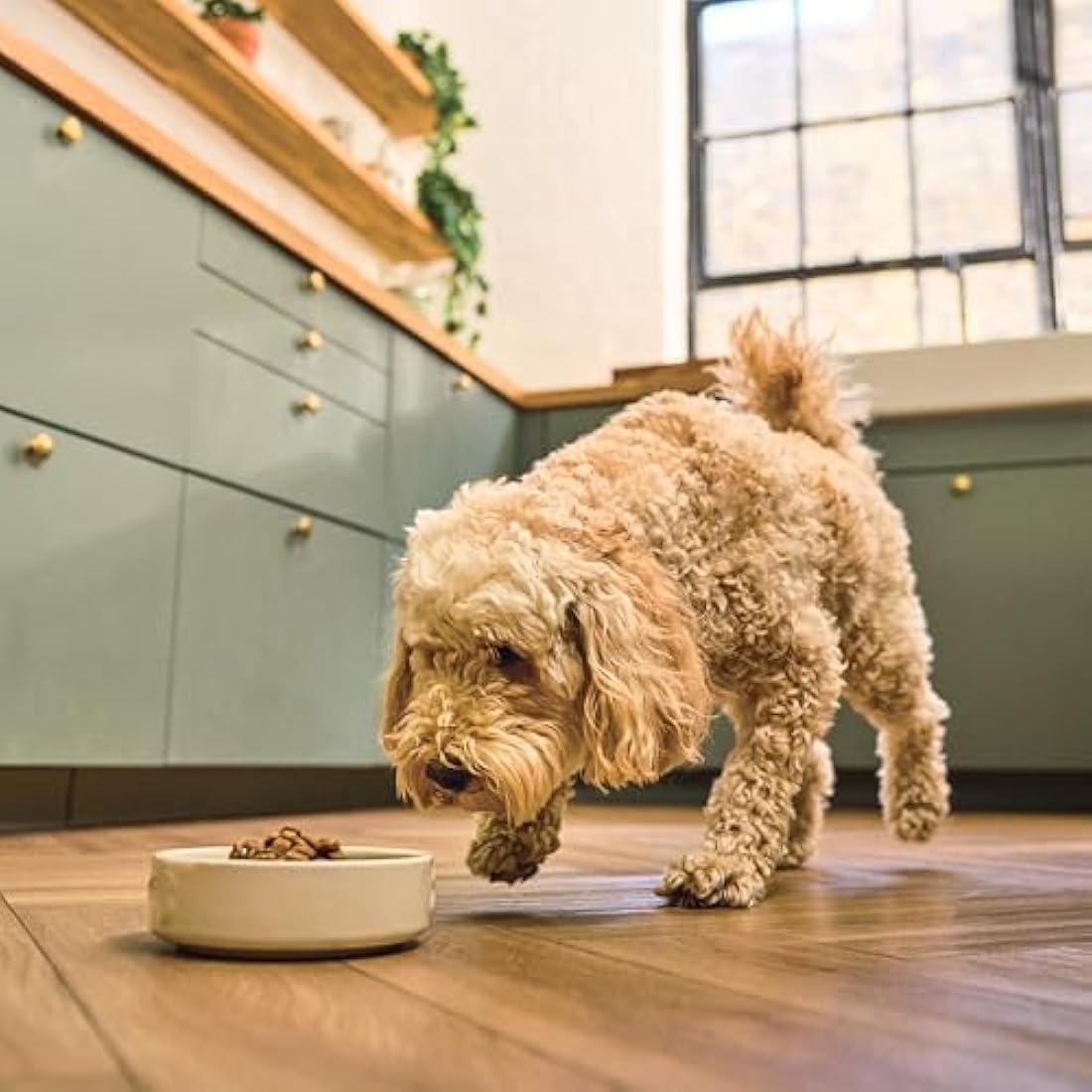 Lily’s Kitchen Made with Natural Ingredients Adult Dry Dog Food Beef Stew with Ancient Grains 7kg Bag