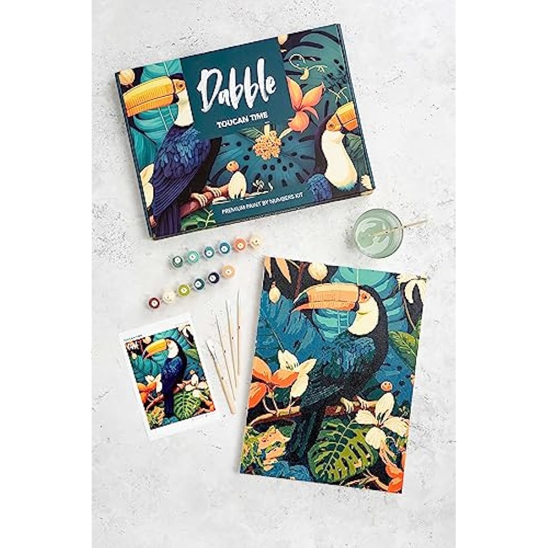 Dabble Paint by Numbers Kit – Paint by Numbers for Adults Beginners with Canvas Frame, Painting Kit for Adults, Flowers Design