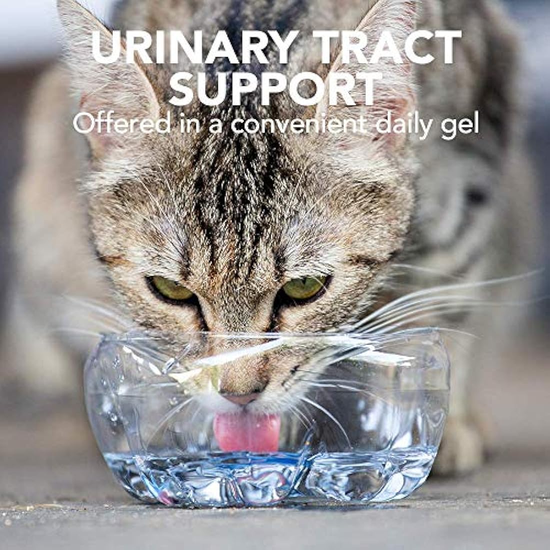 Vet's Best Feline Urinary Tract Support Cat Supplement Gel Supports Healthy Urinary Tract, 100 g