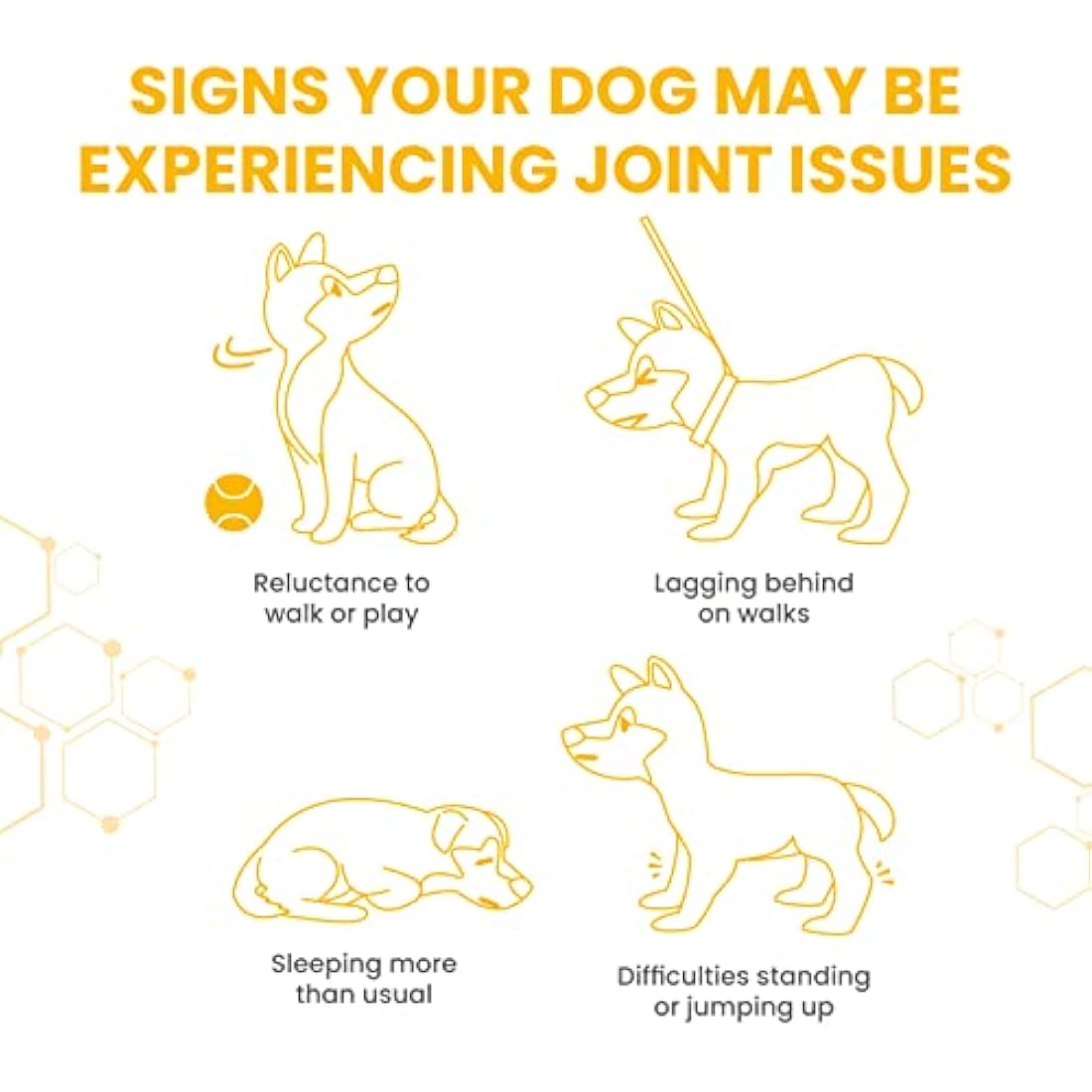 Vetzyme Flexible Joint Supplements for Dogs (30 Tablets) - Hip and Joint Care with Glucosamine, Tasty Chicken Flavour