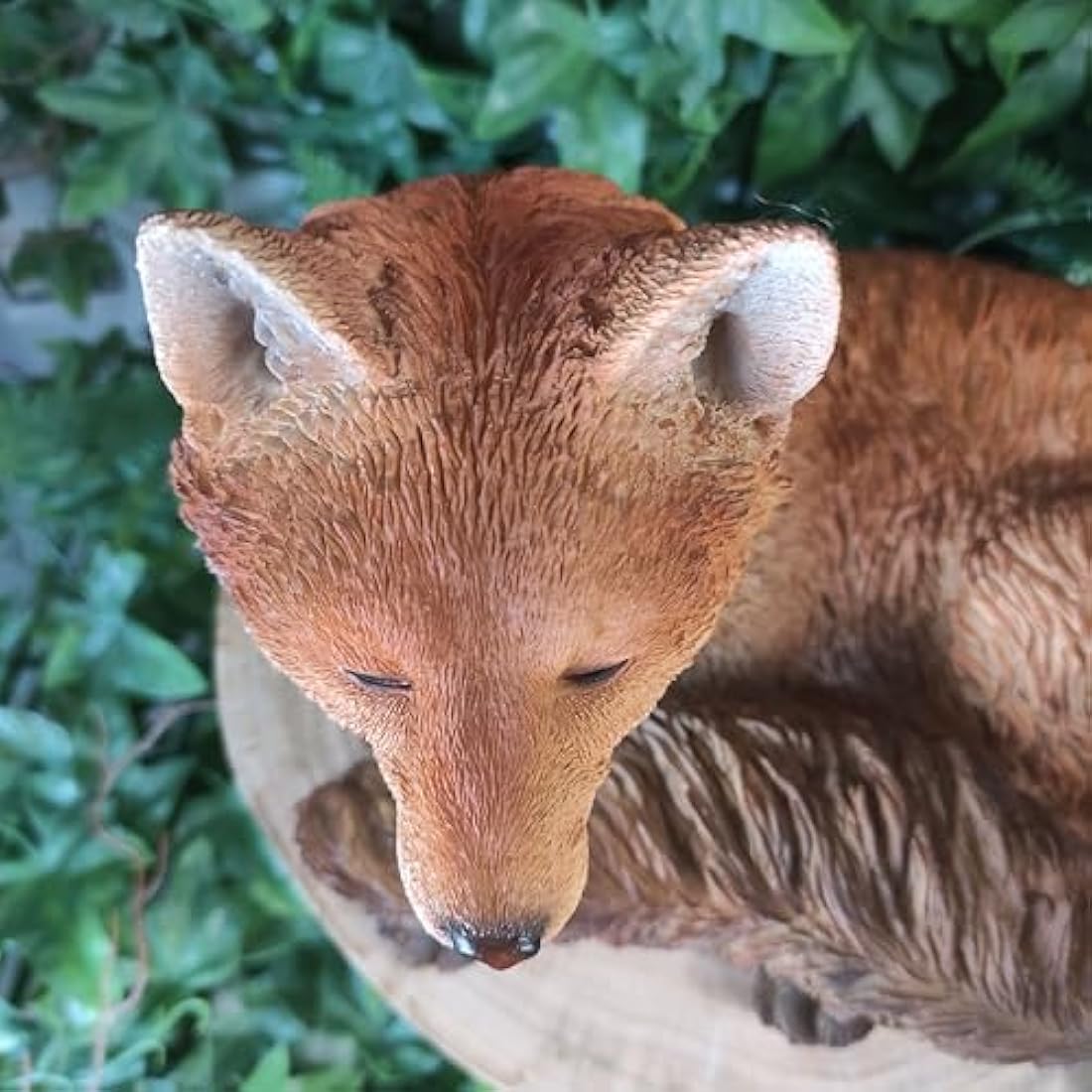 Vivid Arts Real Life Resting Fox | Resin Home or Garden Decoration | XRL-RFOX-D