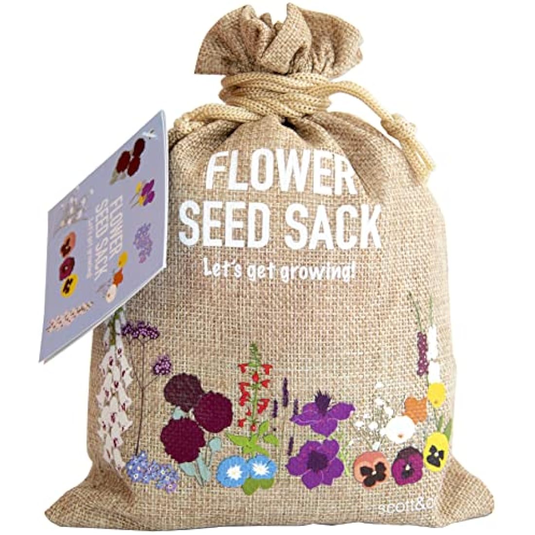 Scott&Co. Flower Seed Variety Pack - 30 Different Varieties of Flower Seeds to Grow Your Own. Butterfly and Bee Attracting, Grow Indoor and Outdoor. Mother's Day Gifts for Women and Men.