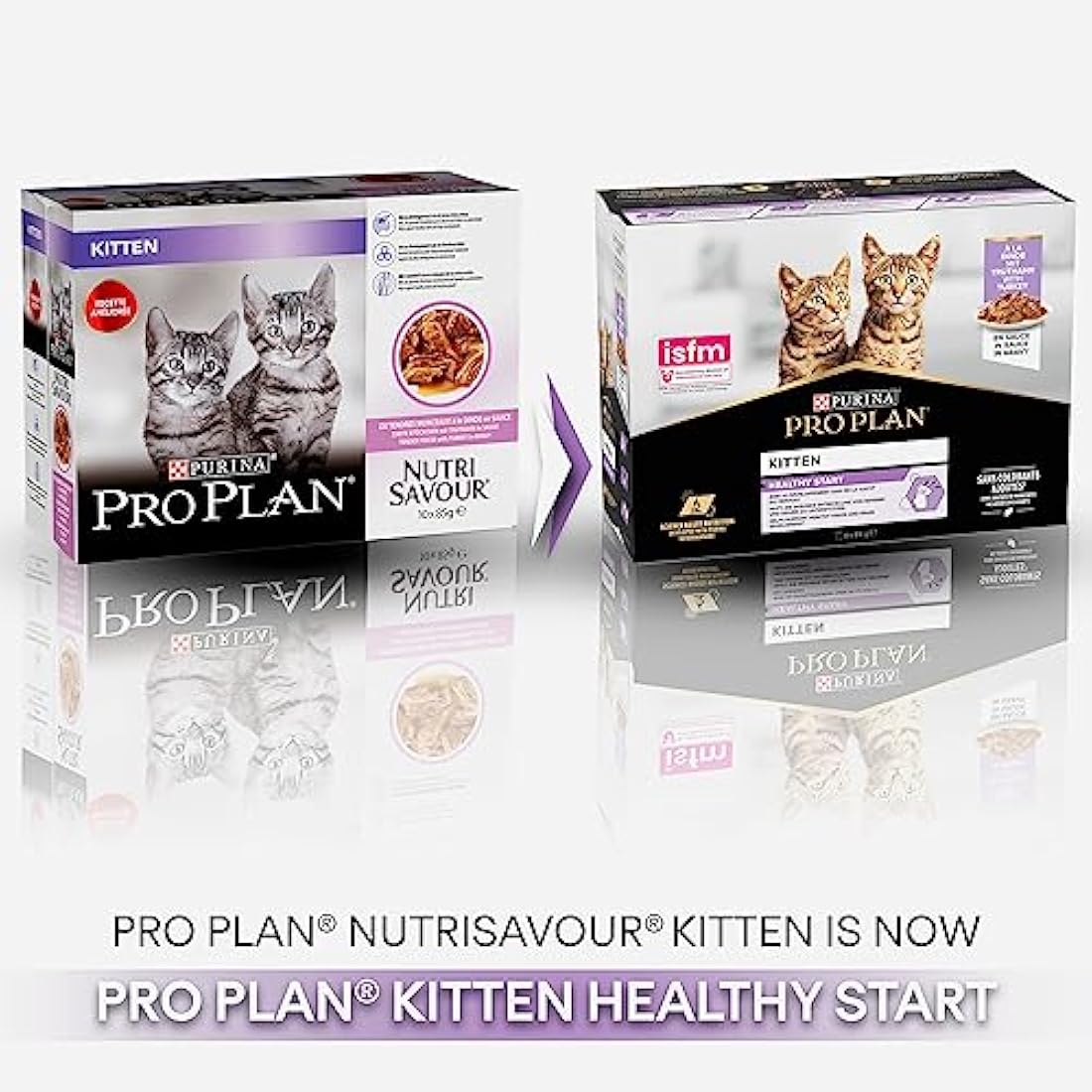 PRO PLAN Kitten Healthy Start Turkey in Gravy Wet Cat Food 10x85g, Pack of 4