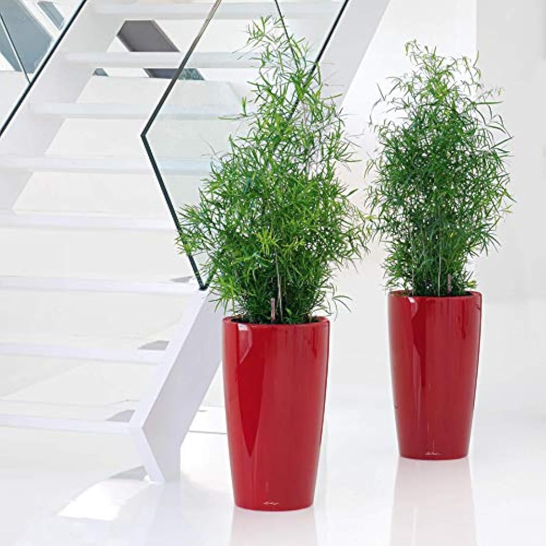 Lechuza RONDO 32 Self Watering Planter Large Plastic Indoor and Outdoor Plant Pot with Drainage Hole D32 H56 cm Charcoal Metallic