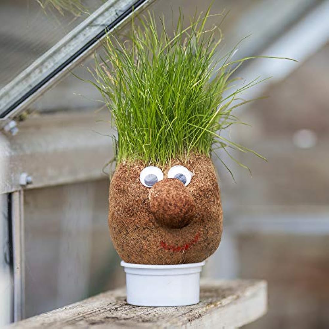 Tobar MR GRASSHEAD