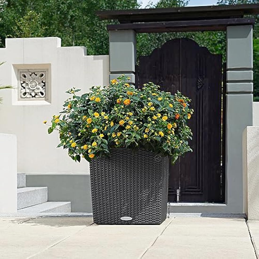 Lechuza Self Watering Plant Pots CUBE Cottage 40 Rattan Look Plastic Garden Outdoor Indoor Planter with Drainage Hole H40 L40 W40 cm Granite