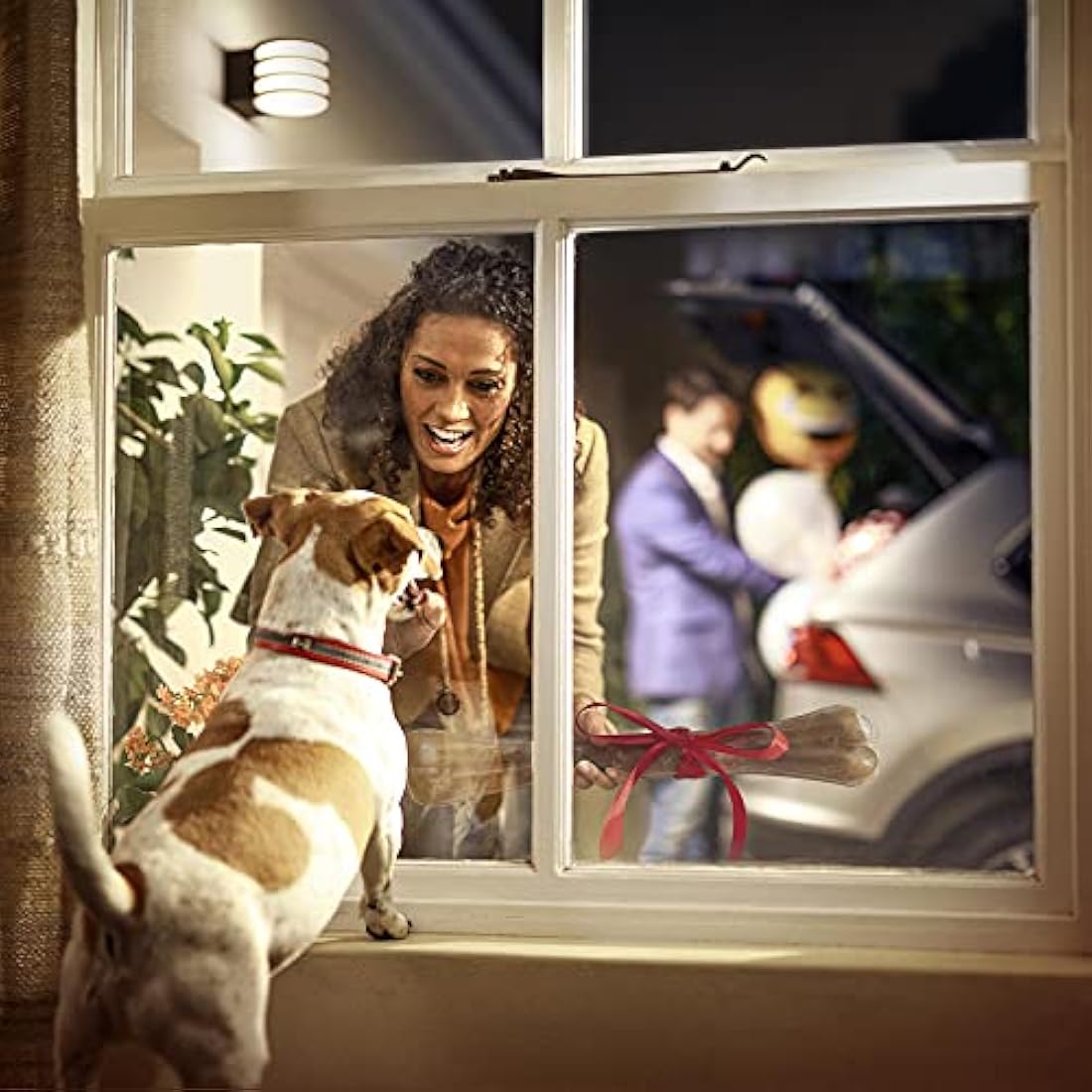 Philips Hue Lucca White LED Smart Outdoor Wall Light, Works with Alexa, Google Assistant and Apple HomeKit