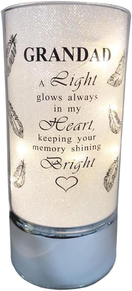 David Fischhoff Family Members Light Up Memorial Light Tube Sparkly Shimmering Indoor Decoration Grandad