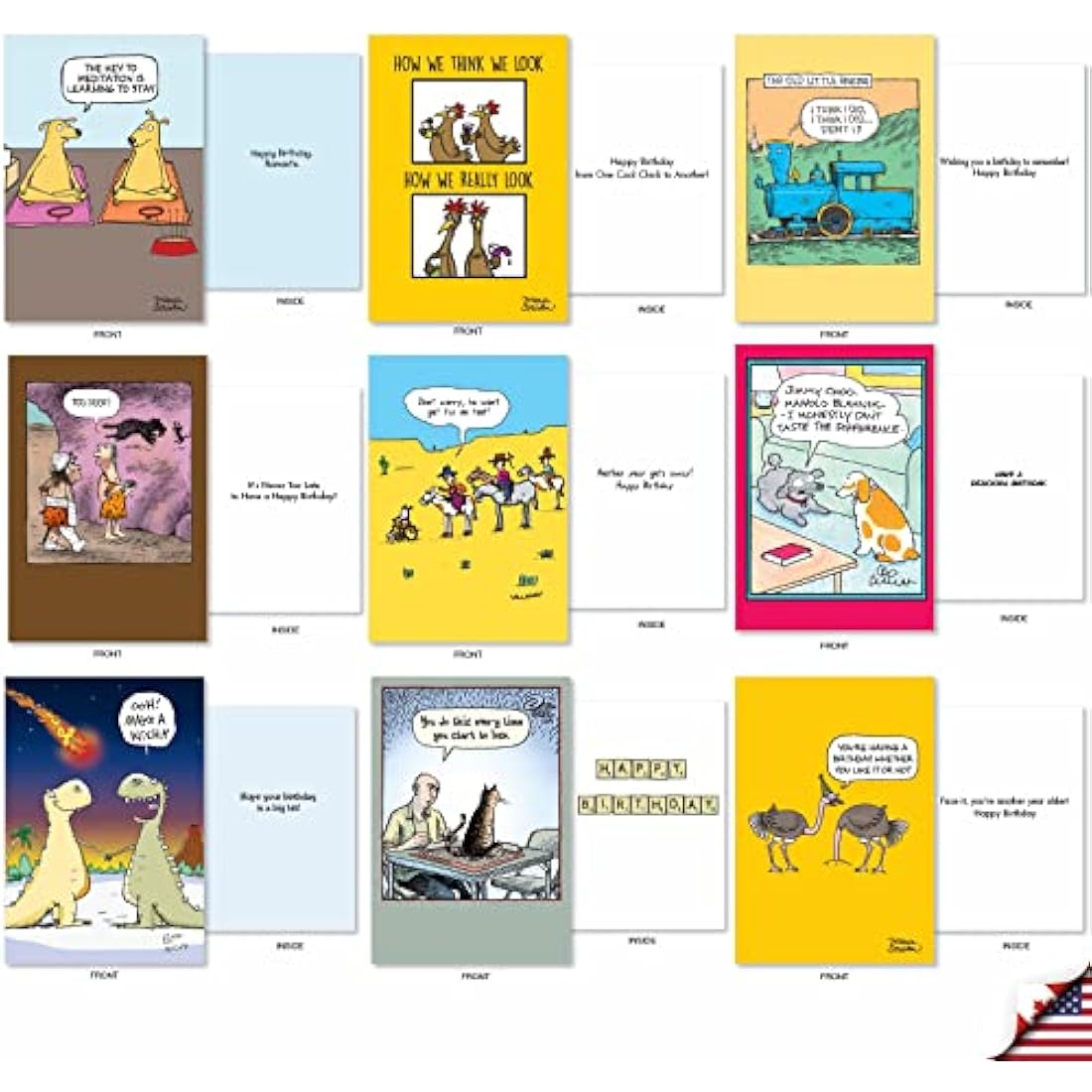 NobleWorks - 36 Assorted Funny Birthday Cards Bulk Box Set with Envelopes (36 Designs, 1 Each) Mixed Humor Greeting Card Variety Pack for Men and Women - Cartoon Party AC9374BDG-B1x36