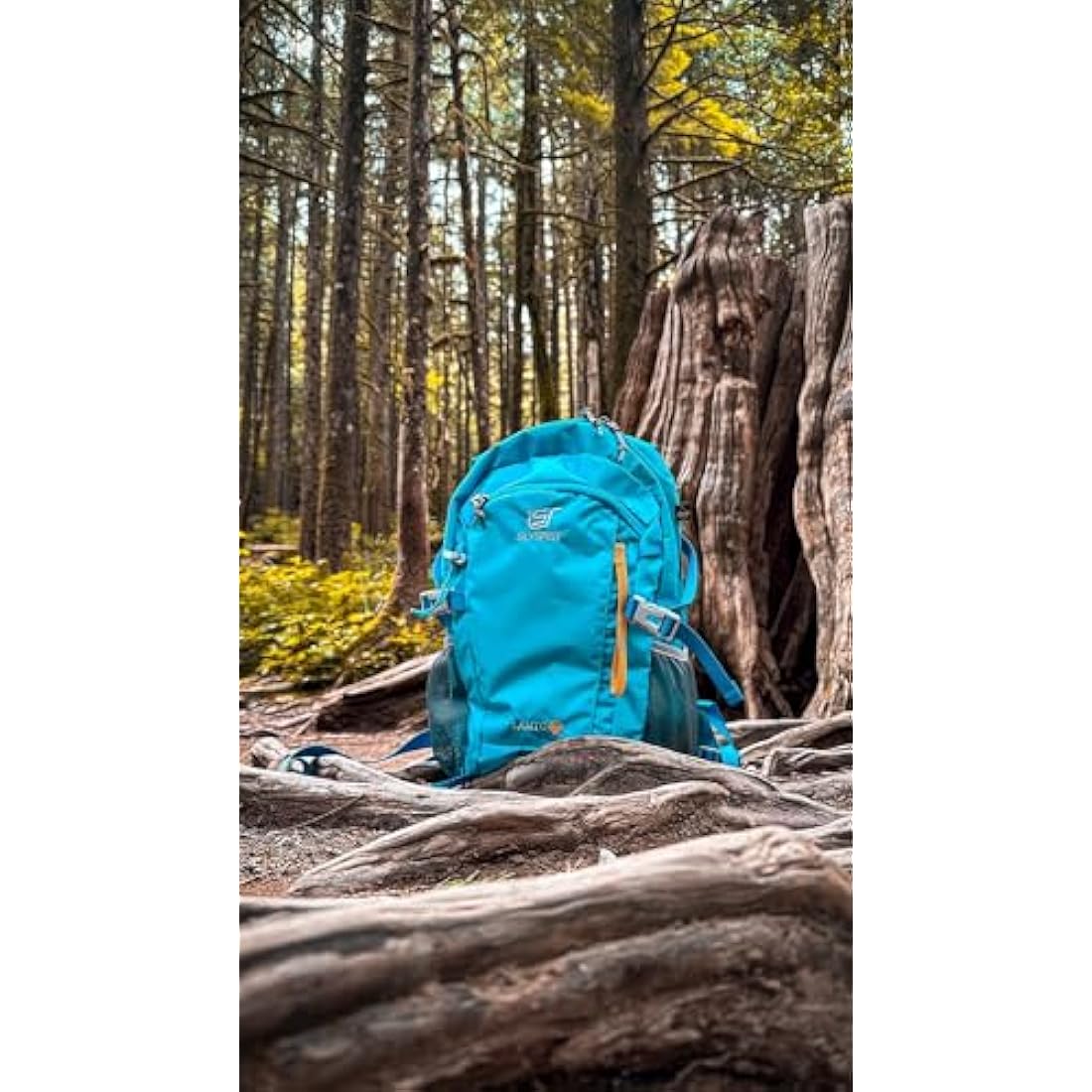 SKYSPER Small Hiking Backpack, 20L Lightweight Travel Backpacks Hiking Daypack Rucksack Women Men for Trekking Backpacking Outdoor Sports(Blue)