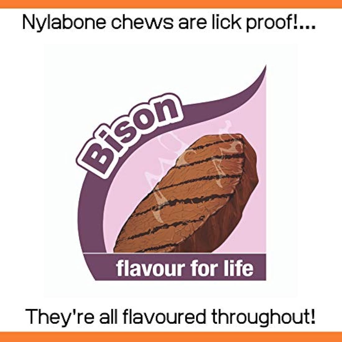 Nylabone Extreme Tough Dog Chew Toy, Wishbone Bison Flavour, Small, for Dogs Up to 11 kg,Brown, Large Breeds