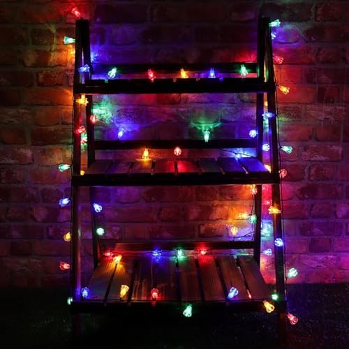 Christmas Concepts® 300 30m/98ft Retro Multi Coloured LED Petal Lights with 8 Function Controller – Indoor/Outdoor – Energy Efficient A++ - Christmas Lights