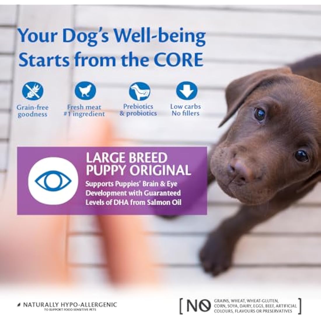 Wellness CORE Large Breed Puppy Original, 10kg, Chicken, Puppy Food Dry for Small & Medium Breed Puppies, All-Natural, Grain-Free, High Meat Content, No Added Sugar
