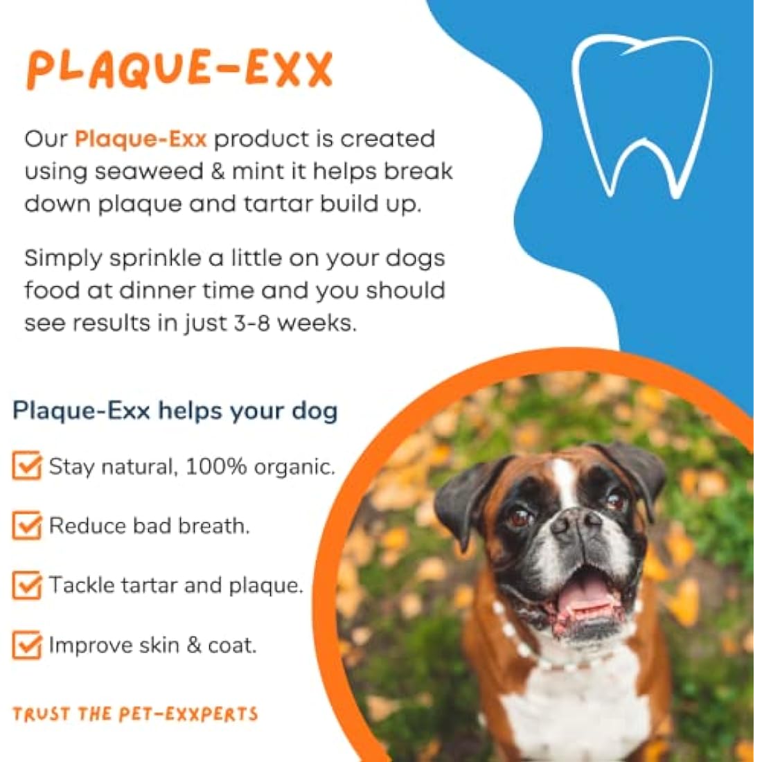 PlaqueExx Plaque and Tartar Remover for Dogs and Cats - Takes Plaque Off Your Pets Teeth PLUS No More Bad Breath - Teeth & Gum Dental Care Formula With Added Mint Powder (100g)