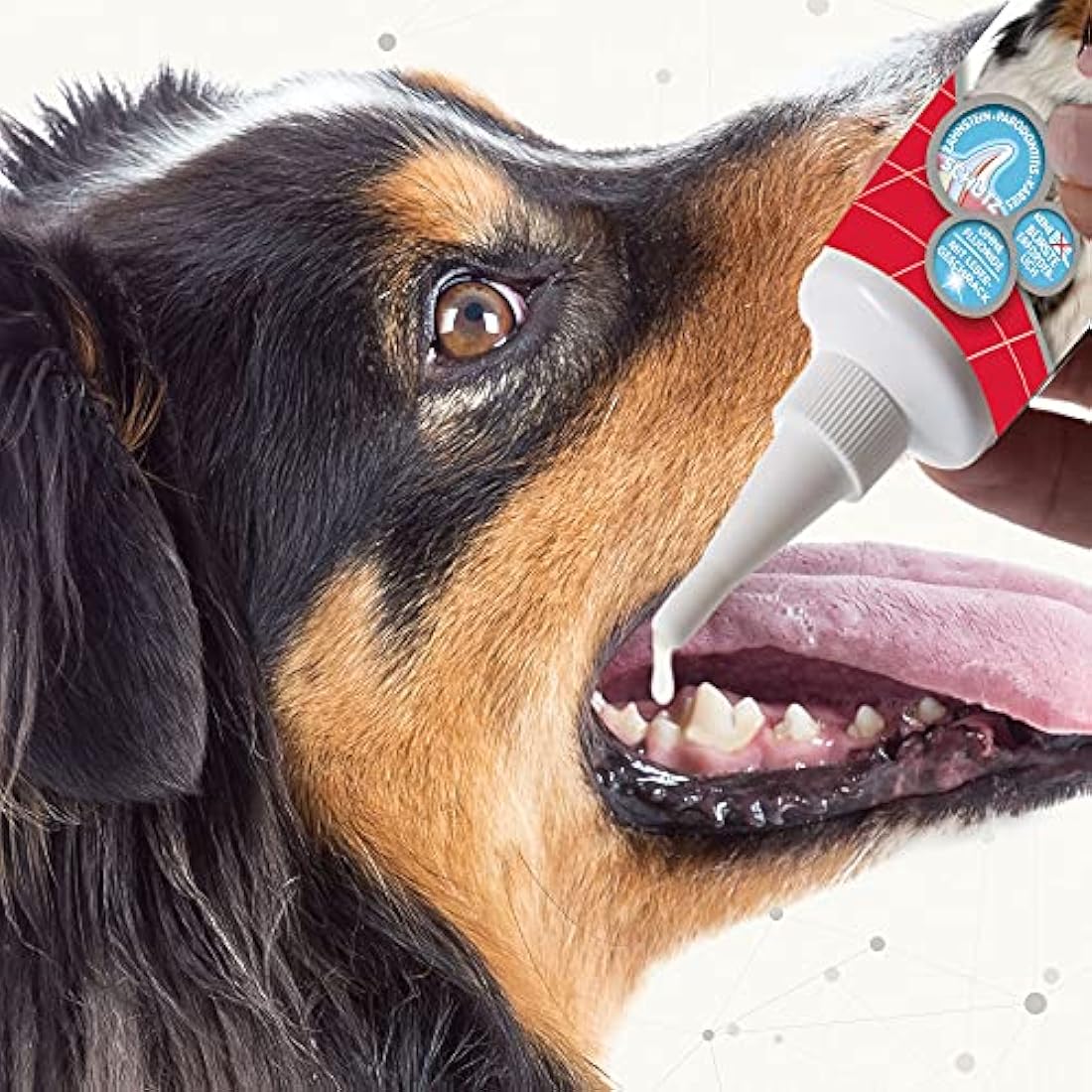 Beaphar | Advanced-Enzyme Toothgel | Dental Care Dogs & Cats | Non-Brush Alternative | Helps Prevent Bad Breath & Combat Plaque | 100g Tube