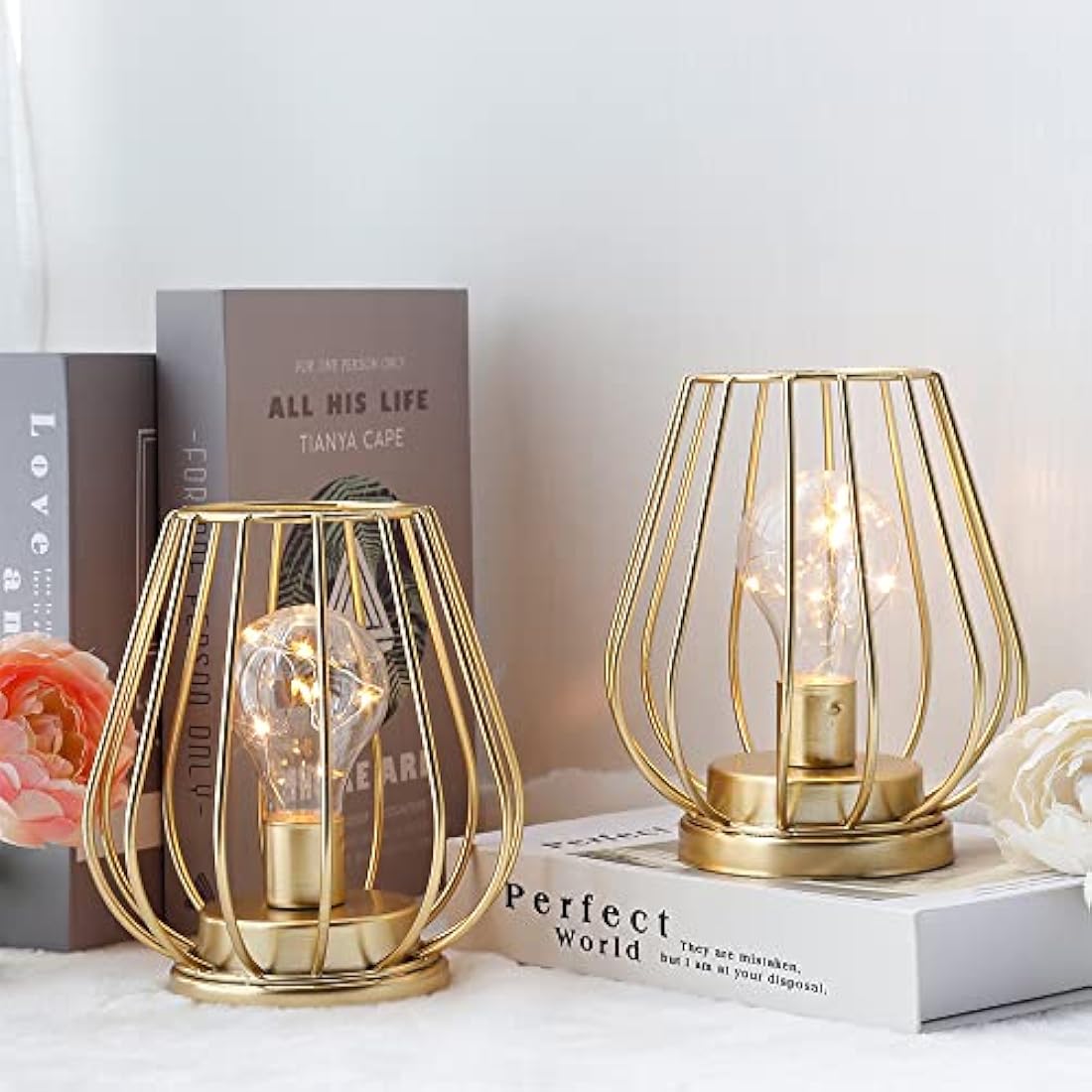 TRIROCKS 2 Set of Metal Battery Operated Table Lamp 17cm Tall Mini Cage Shape Cordless Lanterns with Warm Fairy Lights Bulb for Patio Garden Wedding Parties Indoor Outdoor (Gold)