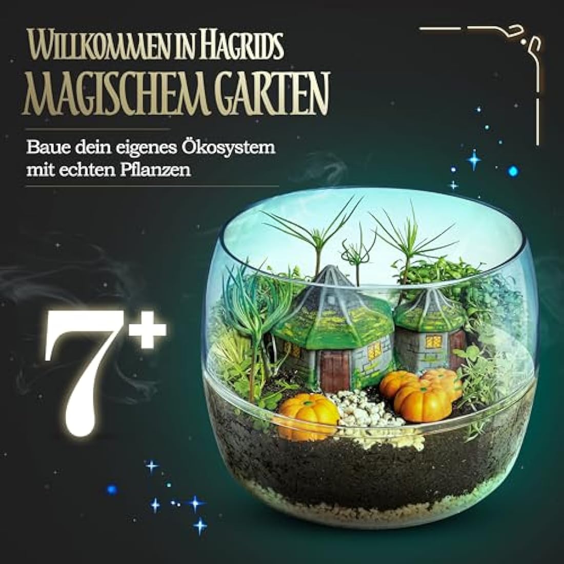 Clementoni- Harry Potter Terrarium Kit: Build Your Magical Greenhouse, Educational Sceintific Toys (7+ Years) - Packaging May Vary