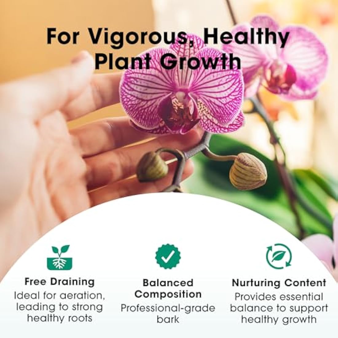Orchid Focus Repotting Mix, 3L - Growth Technology Orchid Potting Mix for Orchid Plants - Peat-Free Orchid Potting Mix - Orchid Compost For Repotting Pants - Professional Grade Orchid Bark
