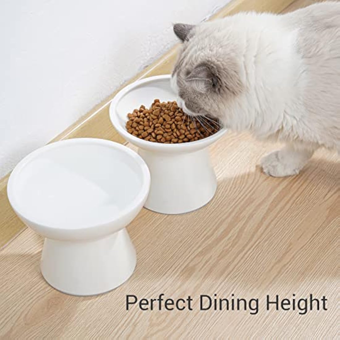 CEEFU 2 x Extra Wide Ceramic Cat Bowls for Food and Water, Shallow Plate, Lead and Cadmium Free, Raised Height for Dogs and Cats, Two Different Depth Bowls, White