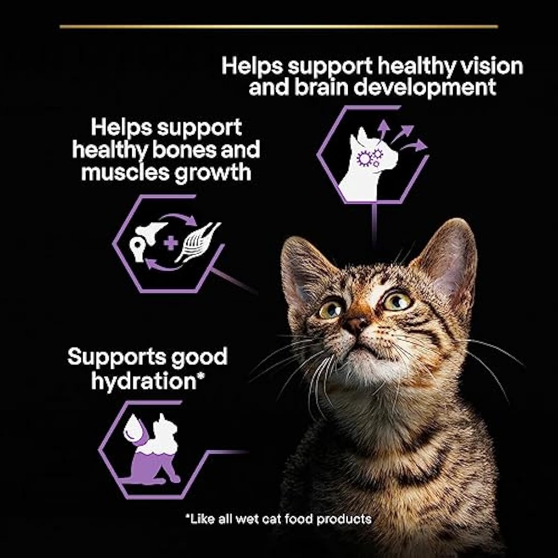 PRO PLAN Kitten Healthy Start Turkey in Gravy Wet Cat Food 10x85g, Pack of 4