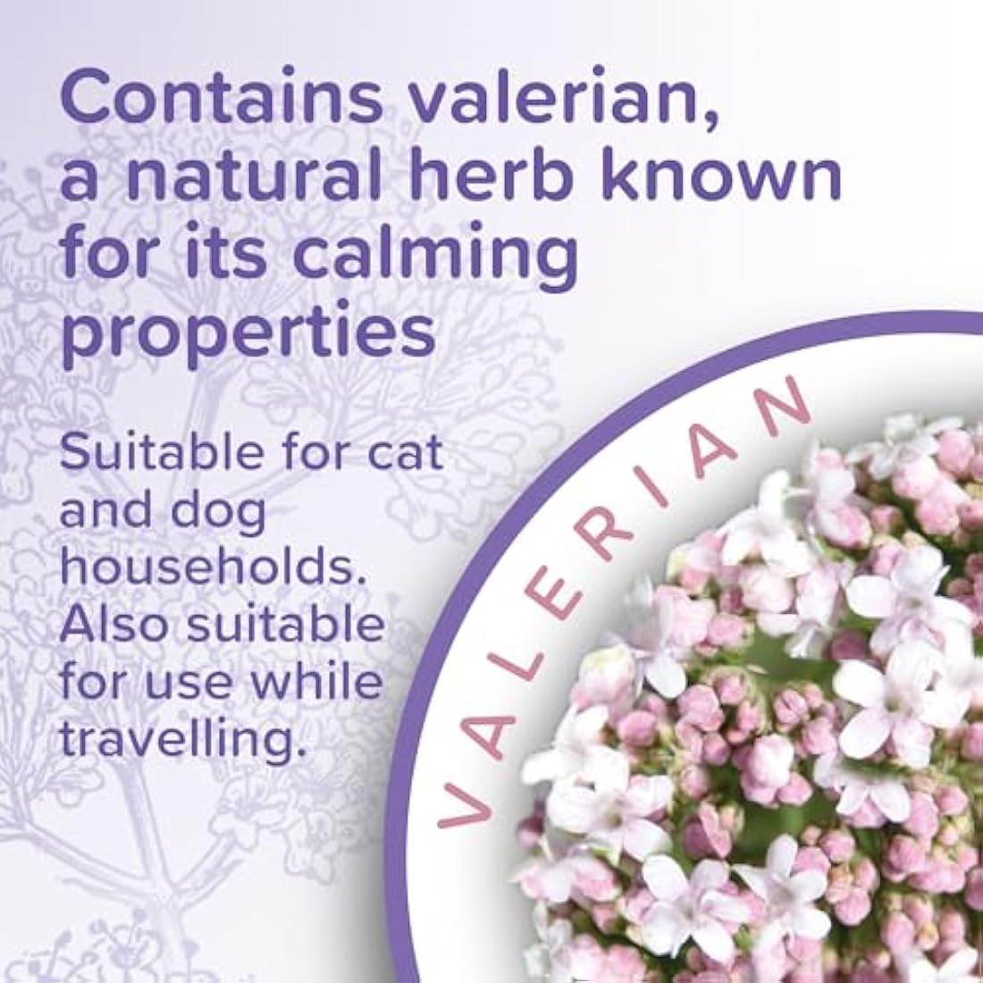 Beaphar - Herbal Calming Home Spray - Helps Reduce Stress - For Use Around the House & Travelling - Spray on Blankets, Carriers, Pet Bedding, & More - Contains the Natural Herb Valerian - 125ml Spray