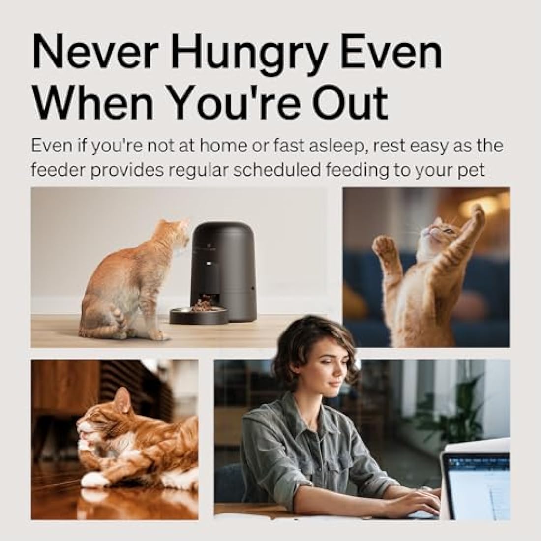 PETLIBRO Automatic Cat Feeders, Timed Cat Feeder with 180-Day Battery Life, Anti-Mistake Touch Design & Up to 6 Meals per Day, Air Automatic Cat Feeder with Timer - Ideal for Small/Medium Cat & Dog
