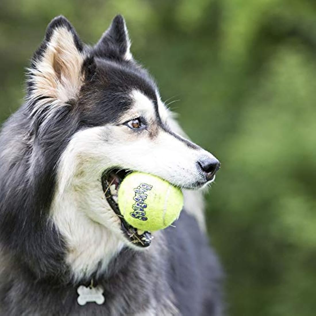 KONG SqueakAir Balls (x2) for large dogs