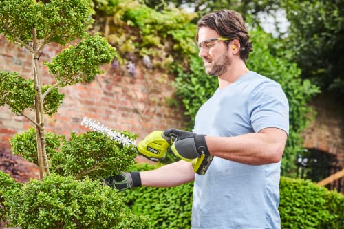 Ryobi - RY18GSA-0 Lawn Shears (120 mm) / Plant Sculptor (200 mm) 18 V ? Sold Without Battery or Charger, Green & Anthracite