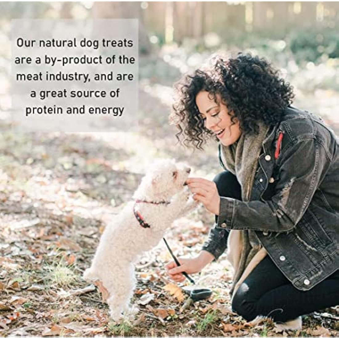 Premium Quality Large Pigs Ears (Pack of 10) Natural Dog Treats Chews PEC