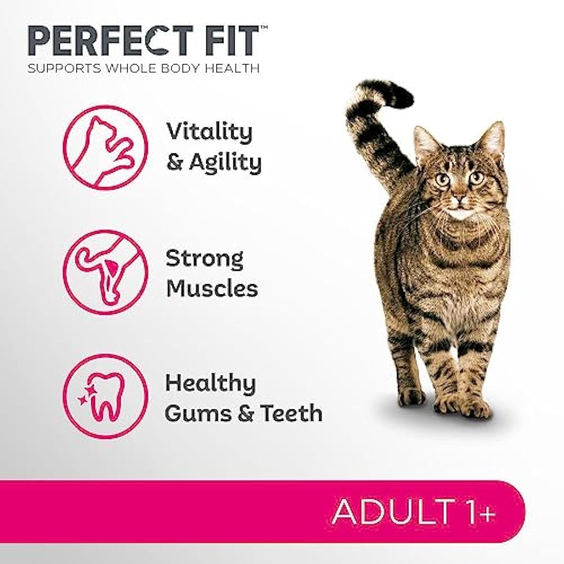Perfect Fit Adult 1+ Complete Dry Cat Food for Adult Cats Aged 1+ Years, Rich in Chicken, 4 Bags (750 g)