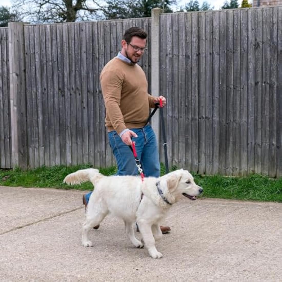 Company of Animals HALTI Control Lead Size Large Black, 2m, Professional Dog Lead to Stop Pulling, Perfect for Puppy Walks, Easy to Use Double-Ended Dog Training Lead with 2 Handles