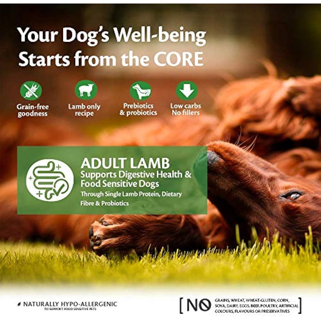 Wellness CORE Adult Lamb, 10kg, Lamb, Dry Dog Food for All Dog Breeds, All-Natural, Grain-Free, High Meat Content, Protein-Rich, Supports Healthy Digestion