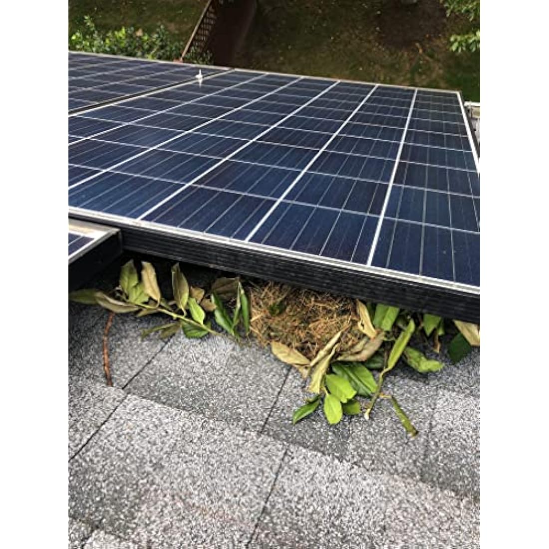 MY SQUIRREL GUARD - Solar Panel Protection - 8" Kit. 100 ft. PVC Coated Galvanized Steel Roll with 100 Aluminum Fasteners, Black