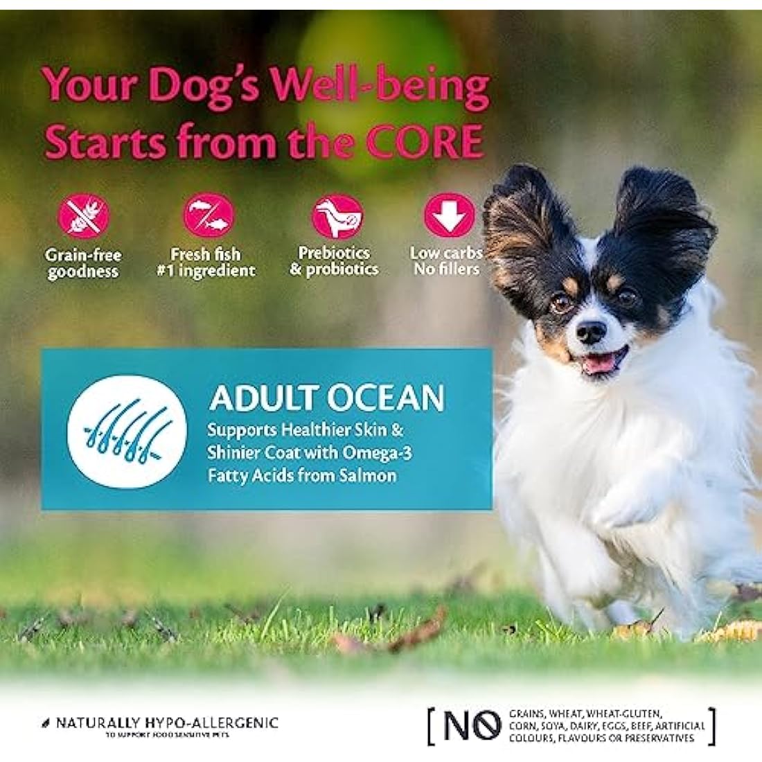 Wellness CORE Small Breed Ocean, 5kg, Salmon & Tuna, Dry Dog Food for Small Breeds, Grain-Free, High Fish Content, Protein-Rich, Supports Healthy Skin & Shiny Coat