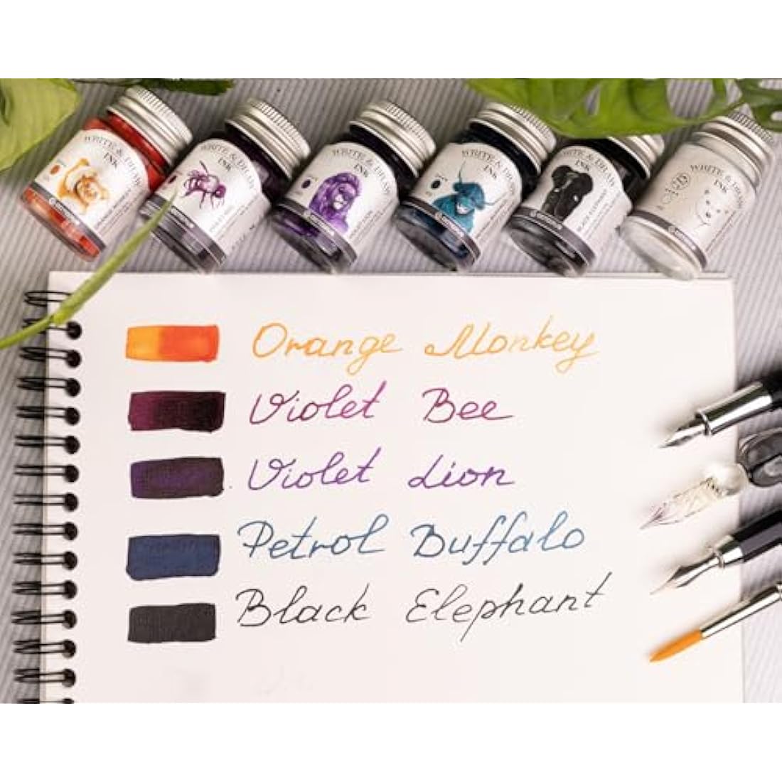 Octopus Write & Draw Ink Set - Basic Mix Calligraphy Ink for Fountain Pens, Waterproof, 6 x 6 x 10 ml