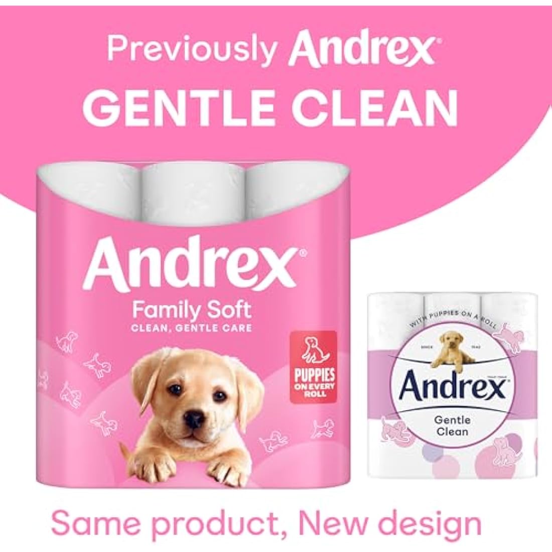 Andrex Family Soft Toilet Paper 24 Rolls (Previously Andrex Gentle Clean) Gentle on your Family’s skin– Pack of 24 Toilet Rolls, 170 sheets Per Roll, FSC Certified