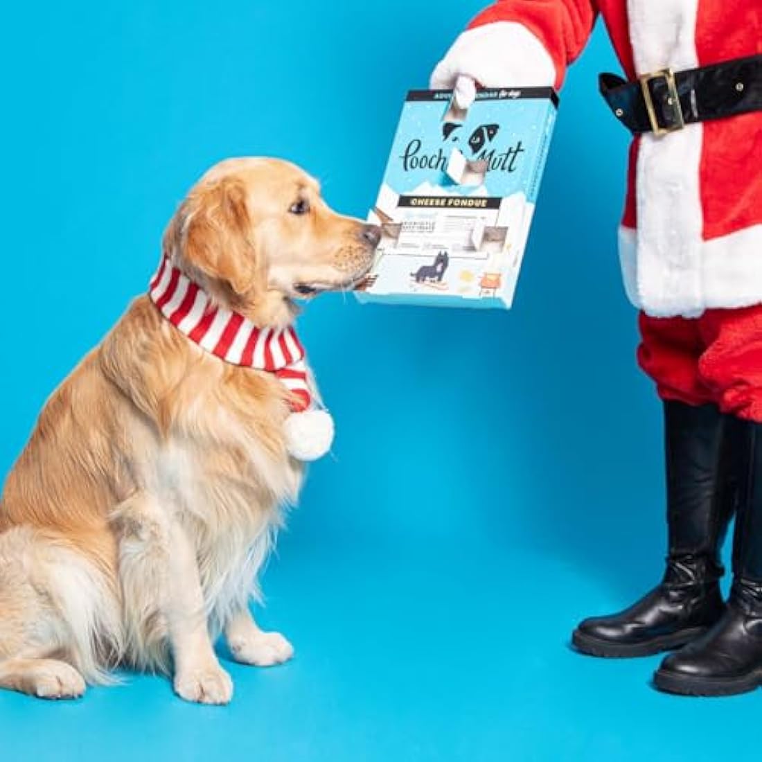 Pooch & Mutt - Christmas Advent Calendar for Dogs, with Natural Ingredients and Low Calories Christmas Calendar