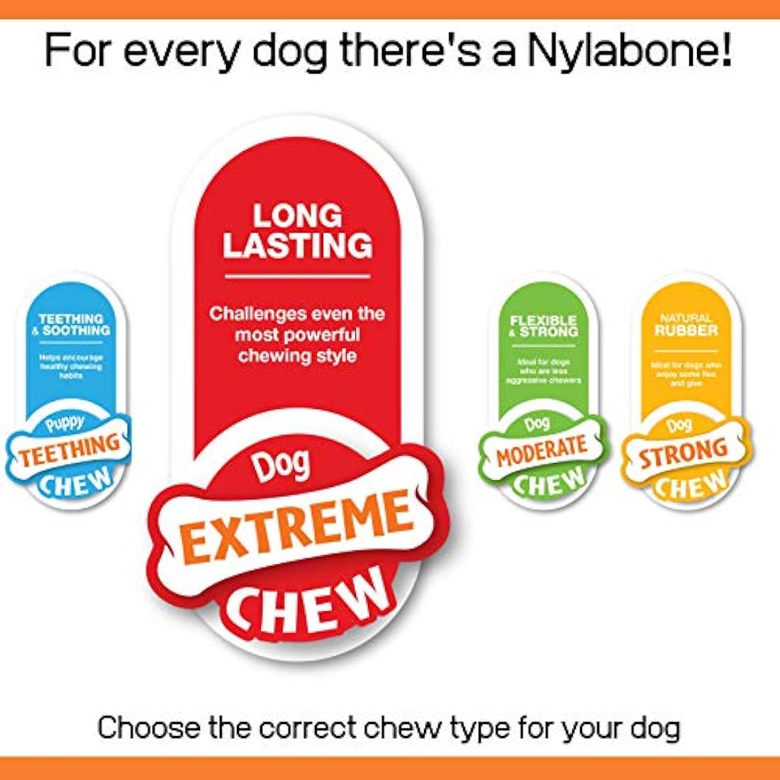 Nylabone Extreme Tough Dog Chew Toy Bones, Cheeseburger & Apple Flavour, 2-piece, Small, For Dogs Up To 11 kg